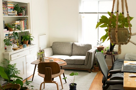 An inviting lived-in living room with lush plants and warm light coming from the window.